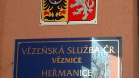 Policejní inspekce zadržela čtyři příslušníky vězeňské služby a pět civilistů z ostravské věznice Heřmanice.