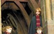 Emma je známá především pro svou roli slušné studentky Hermiony v Harry Potterovi