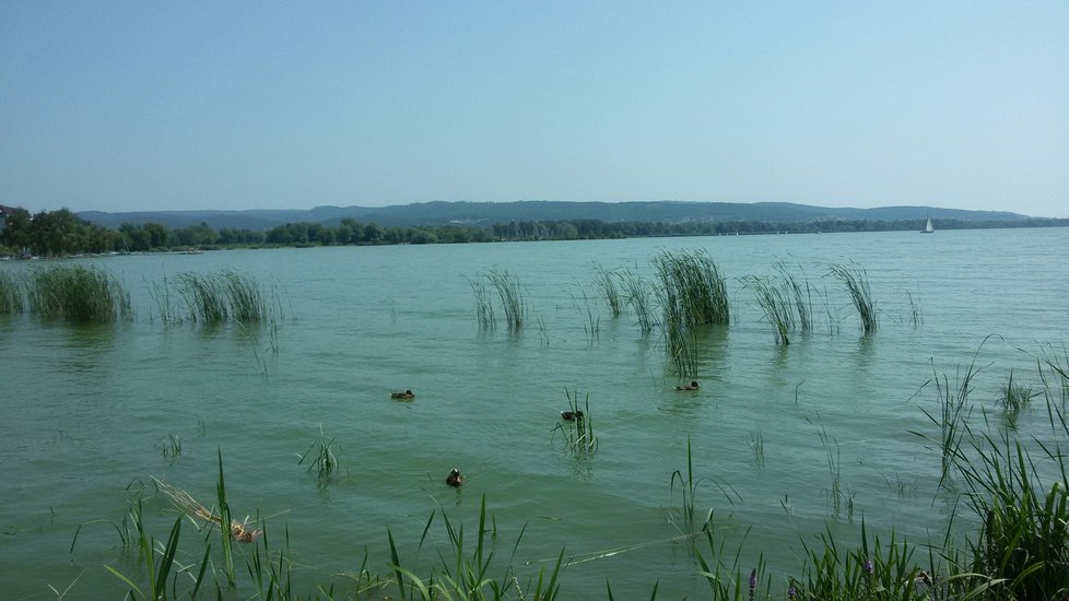 Balaton