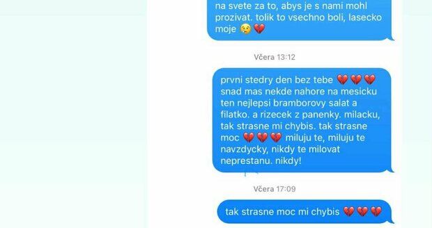 Nikola mengirim pesan kepada suaminya. Nikola mengirim pesan kepada suaminya.