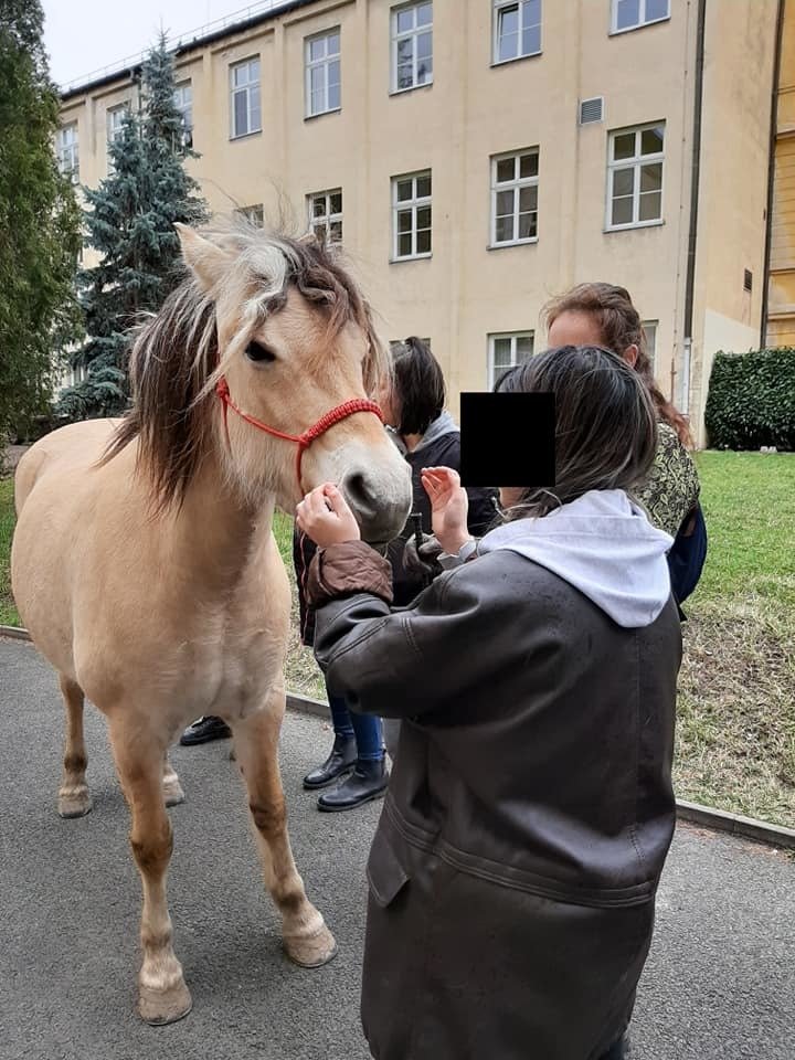 Kobylka byla báječná a trpělivá.