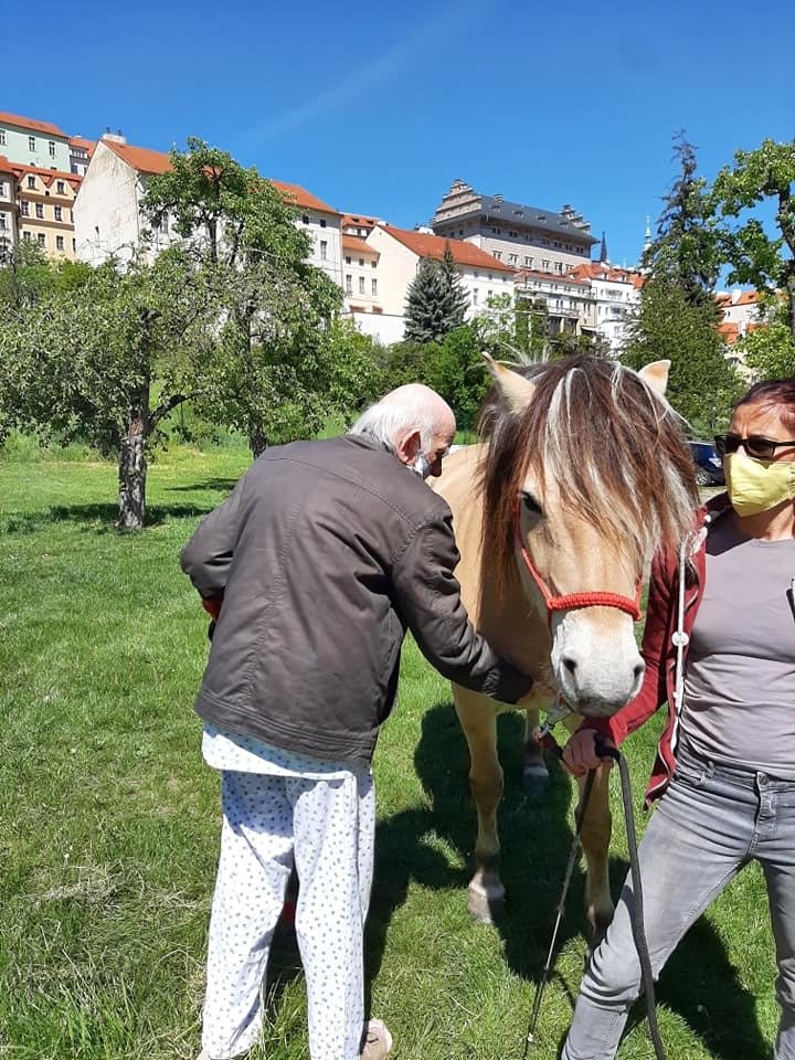 Pohlazení koňské hřívy dokáže zázraky.