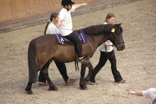Hipoterapie: Když za léčbou stojí kůň