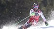 Legendární slalomář a dvojnásobný olympijský šampion Marcel Hirscher