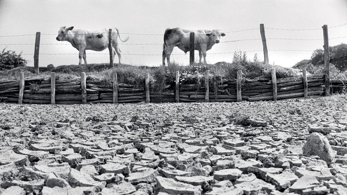 Vyschlý rybník ve francouzské obci Semur-en-Vallon v červnu 1976 Vyschlý rybník ve francouzské obci Semur-en-Vallon v červnu 1976