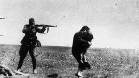 Snímek, z kterého běhá mráz po zádech.  Nacistický voják vraždí matku s dítětem.