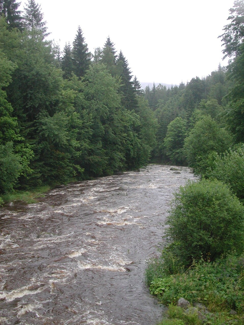 Vydatný déšť „zalil“ Česko: Takhle se zvyšovaly hladiny řek.