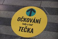Sešup v denním počtu očkovaných Čechů. Ministerstvo řeklo, proč vakcínu dostává méně lidí