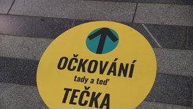 Usnadnění života Čechů po covidu: Aplikace Tečka frčí. Dzurilla věří v rozkvět Portálu občana