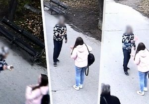 Policisté zadrželi muže, který ohrožoval kolemjdoucí ve Vrchlického sadech před hlavním nádražím. Na jednu ženu dokonce útočil s hořícími novinami. (30. leden 2024)