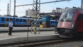 Zfetovaný cizinec pobíhal na hlavním nádraží v Brně po vagonech.
