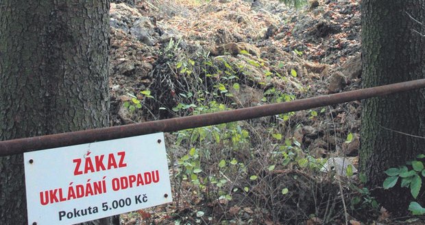 Zemina vinou liknavosti šoférů končí mezi stromy