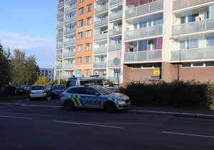 V Lehovci na kraji Hloubětína v Praze 14 došlo v jednom z bytů paneláku v Slévačské ulici k násilnému úmrtí. Vraždu šetří kriminalisté. (22. říjen 2022)