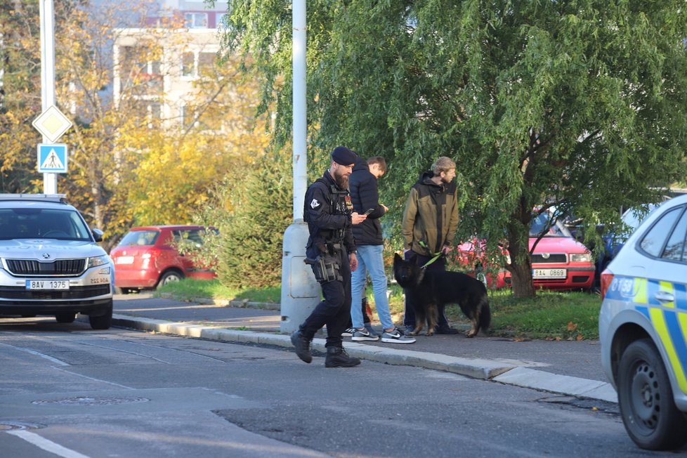 V Lehovci na kraji Hloubětína v Praze 14 došlo v jednom z bytů paneláku v Slévačské ulici k násilnému úmrtí. Vraždu šetří kriminalisté. (22. říjen 2022)