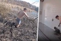Strážník se svlékl do trenek a vlezl pro psa do rybníku: Dramatickou záchranu nahrál kamerou