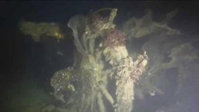 Ztracenou loď našli po 168 letech. Průzkumníci rozluštili záhadu v Arktidě