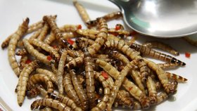 Proteinové delikatesy: Dáte si smaženého cvrčka, nebo raději sušené červy?