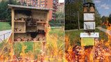 Vypálené hmyzí hotely v Praze 8 radnice obnoví: Budou ale stát na nových místech