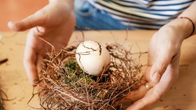 Něžná hnízda z malovaných vajíček doma vykouzlí atmosféru jara