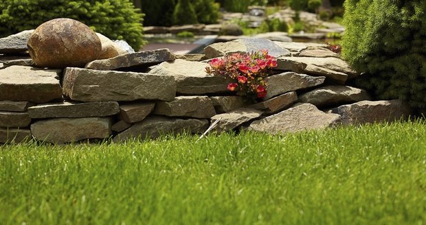 Díky správné dávce kvalitního hnojiva bude váš trávník zdravý a krásný. Získá po zimě ztracenou energii a celé léto bude vizitkou vaší zahrady.