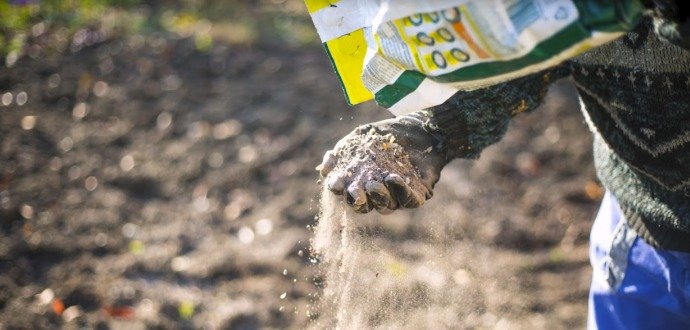 Jarní hnojení zahrady: pozor na čerstvý hnůj, zničil by vám úrodu