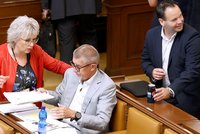 Balaštíková měla chtít zabít psa: „Hnus!“ Po kritice končí v ANO. A první slova manžela