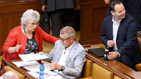 Margita Balaštíková a Andrej Babiš