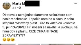Slovenka Marta si doma zapálila respirátor a začala šířit dezinformace