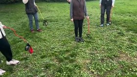 Hobby dogging, venčení imaginárního psa, si získává první vyznavače.