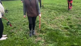 Hobby dogging, venčení imaginárního psa, si získává první vyznavače.