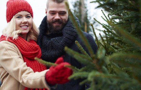 Jaký koupit stojan na vánoční stromek, aby se nenakláněl a nepadal