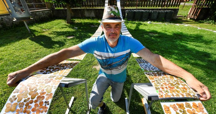Jaroslav z Mikulčic nasbíral 20 037 čtyřlístků! Mám štěstí, tornádo se mi vyhnulo