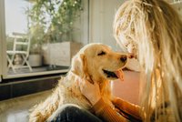 5 nejmazlivějších plemen psů: Tahle vás zahrnou láskou!