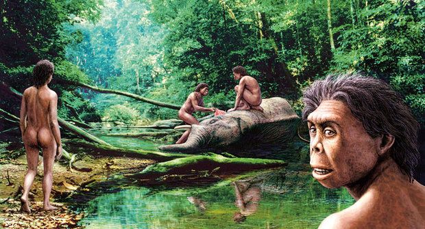 Skutečný hobit z ostrova Flores: Byl příbuzný pygmejů?