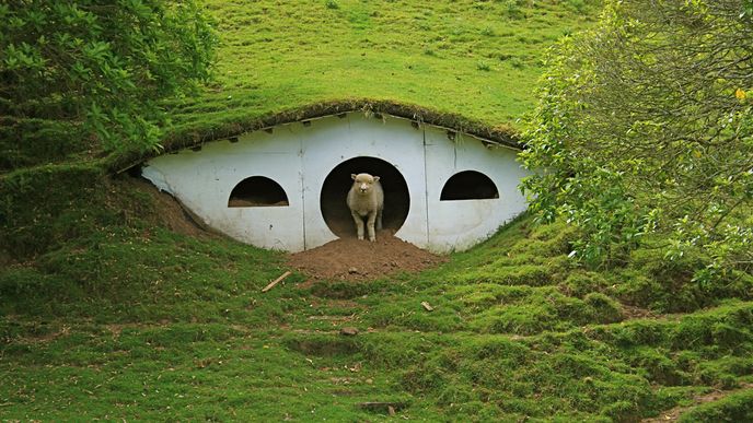 Hobitín, Nový Zéland Hobitín, Nový Zéland