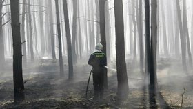 Hasiči dlouho nemohli dostat lesní požár na Hodonínsku pod kontrolu