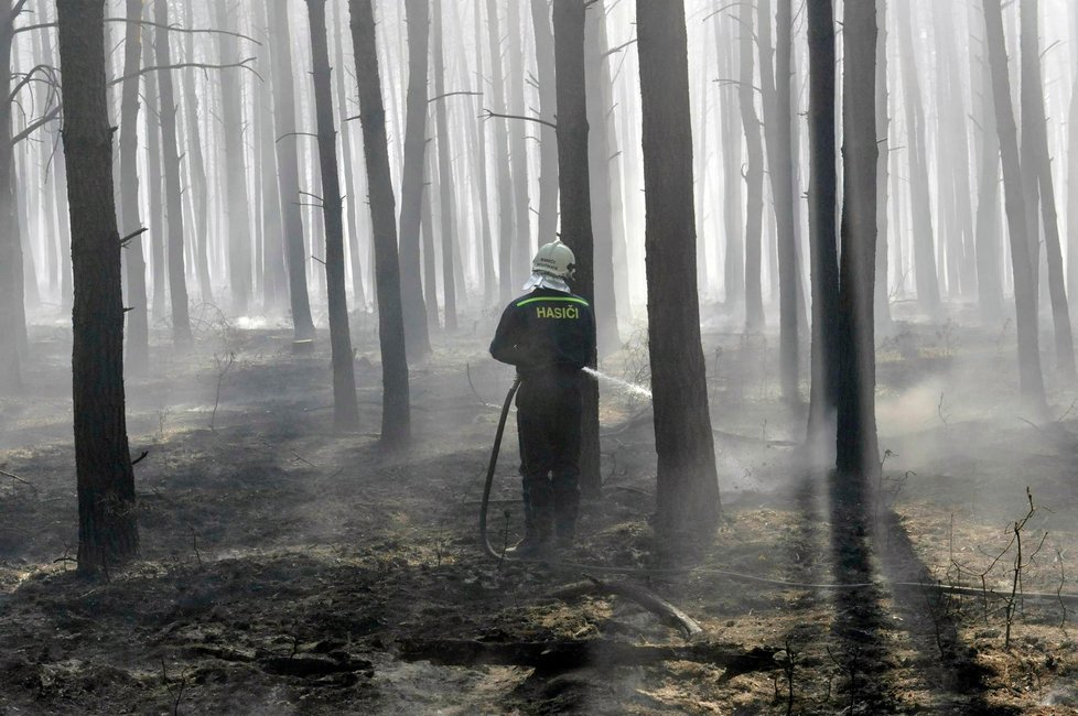  Hasiči dlouho bojovali s rozsáhlým lesním požárem na Hodonínsku, než se jim podařilo plameny dostat pod kontrolu