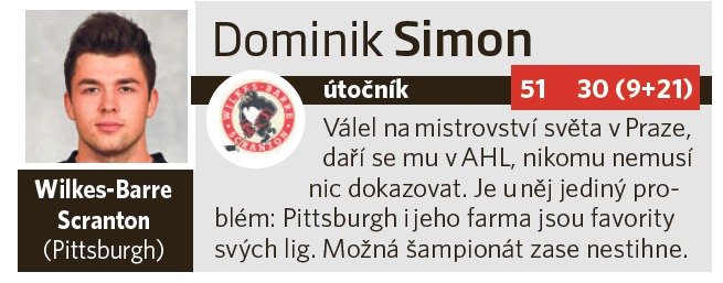 Dominik Simon