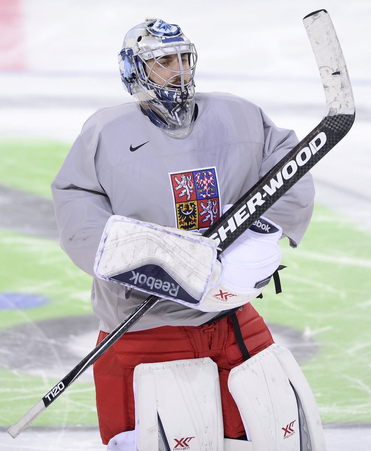 Brankář Ondřej Pavelec.