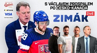 Prospal o gólu v šesti: Myslel jsem, že to je umělá inteligence. Co vyčítá Pastrňákovi? Prospal o gólu v šesti: Myslel jsem, že to je umělá inteligence. Co vyčítá Pastrňákovi?