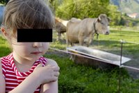 Týranou dívenku (5) vychovávaly krávy: Neumí mluvit a dorozumívá se bučením!