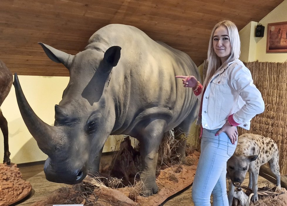 Výhodou vycpané zoo v Holčovicích je, že si každý může zvířata prohlédnout zblízka a třeba se i kouknout lvovi do tlamy.