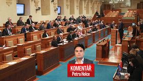 Petr Holec komentuje postoj Senátu ke zvyšování platů zákonodárců.