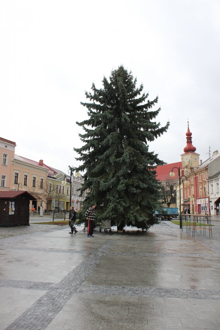 Tady strom ještě stojí na náměstí v Holešově.