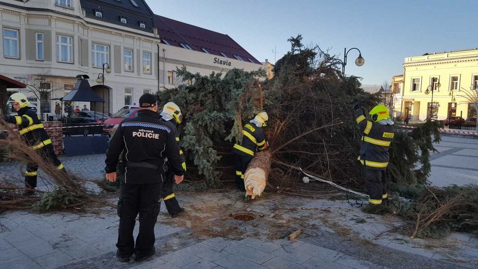 Holešovský vánoční strom spadl na přístřešky trhovců.