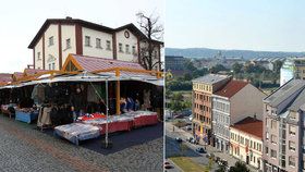 Holešovice v Praze 7 zabodovaly.