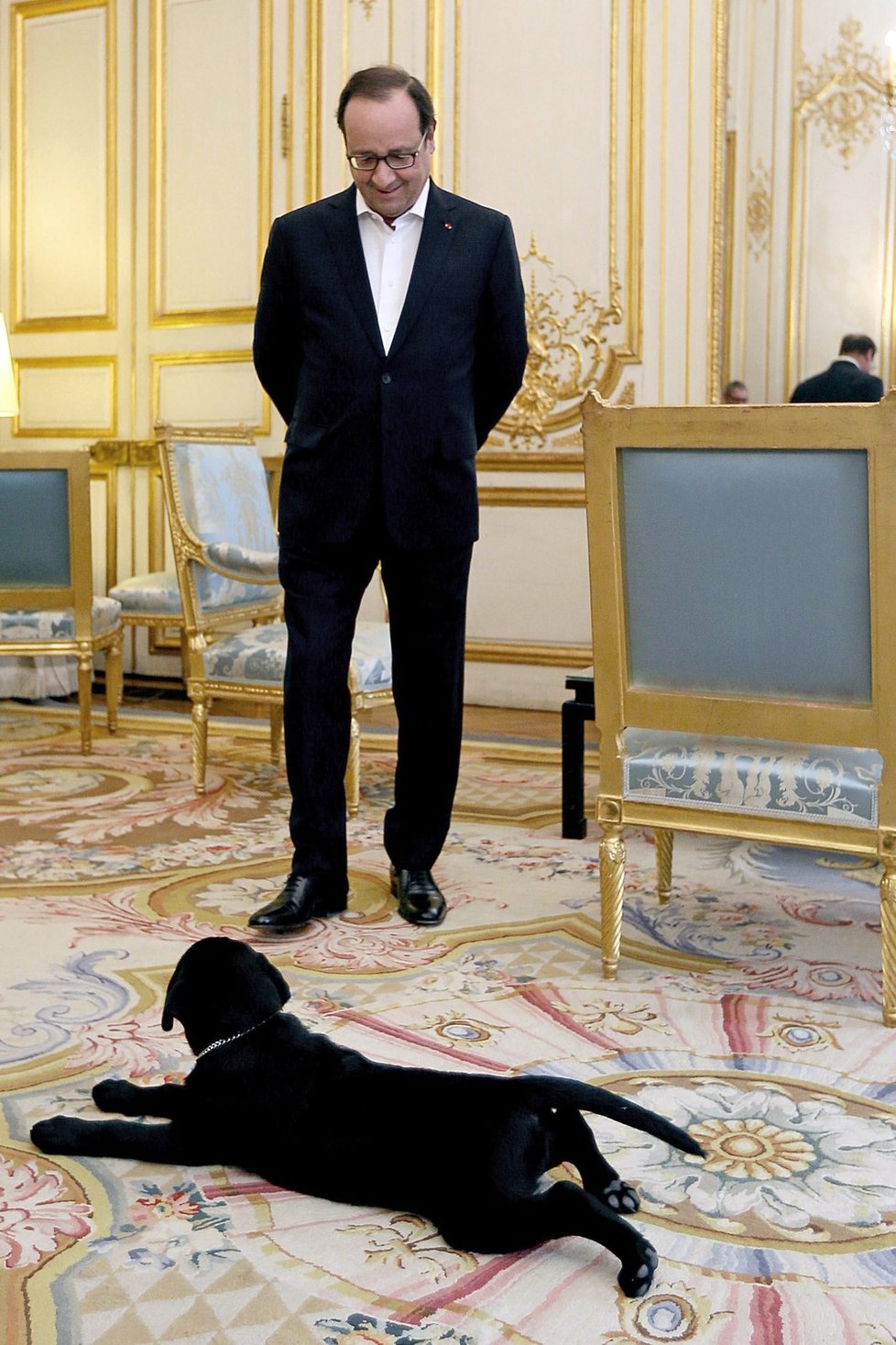 Francouzský prezident Hollande dostal k Vánocům roztomilé štěně