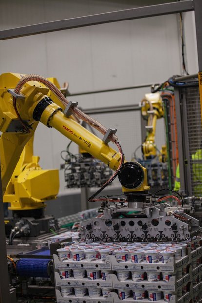 České podniky z výrobních odvětví loni pořídily 2624 robotů, což je o čtyři procenta méně než předloni. Na snímku jsou roboti od japonského výrobce Fanuc.