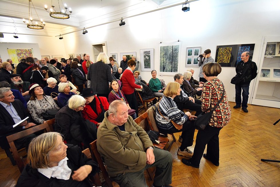 Galerie Hollar představuje rozličná díla jubilantů, kteří jsou členy sdružení. K vidění jsou grafiky nejrůznějších motivů.