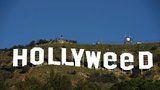 Vyhulený silvestrovský kousek: Vtipálek změnil slavný nápis Hollywood na Hollyweed!